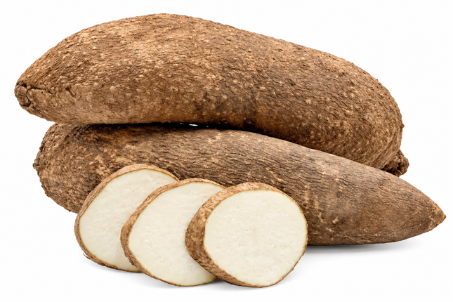 Yams – frische Yamswurzel 1,5 kg