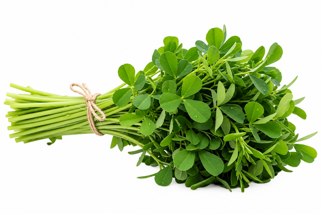 Frisches Methi (Fenugreek Leaves / Bockshornkleeblätter)