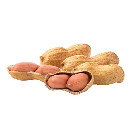 Africa frische erdnüsse 250g