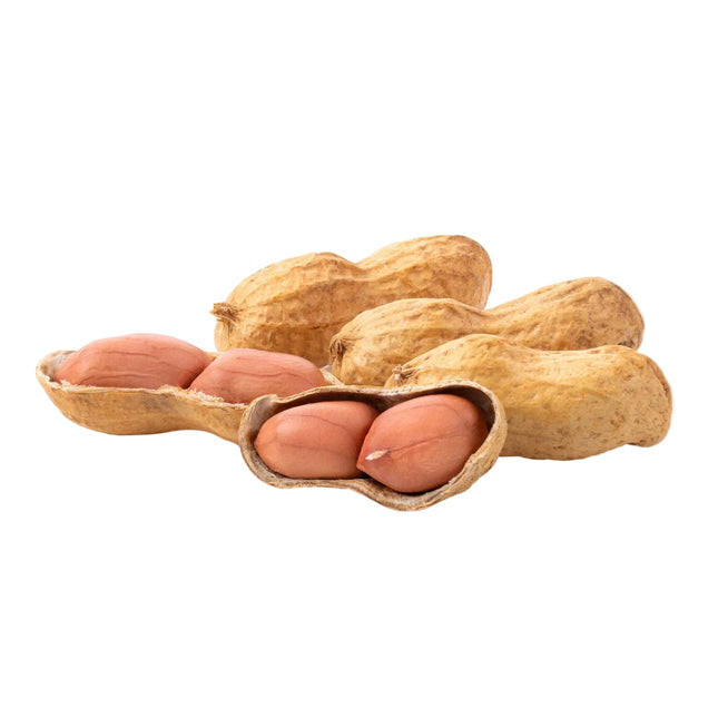 Africa frische erdnüsse 250g