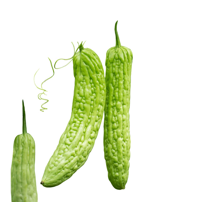 Fresh Bitter Melone (Karela)