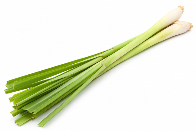 Frisches Zitronengras (Lemongrass)