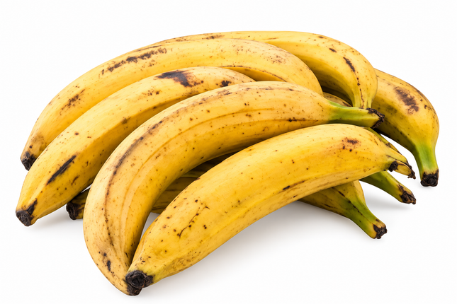 Gelbe Kochbananen (Yellow Plantain) – verschiedene Größen