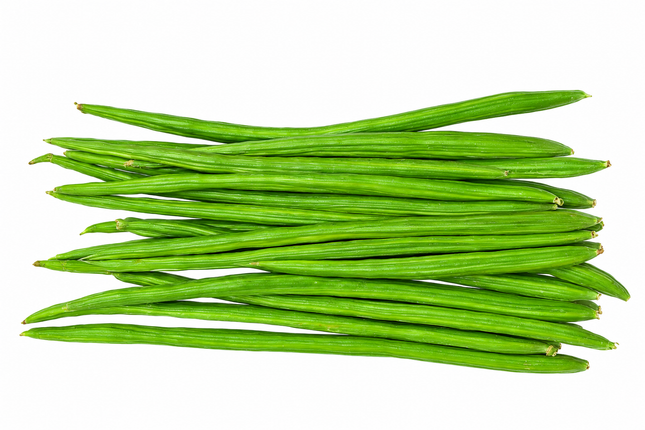 Frische Moringa-Schoten Drumstick