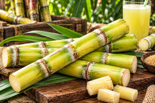 Frisches Zuckerrohr (Fresh Sugar Cane / Ganna)