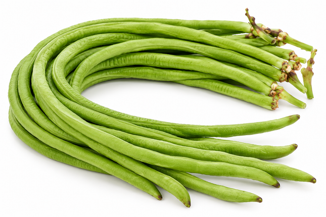 Frische Long Beans (Yardlong Beans / Lange Bohnen)