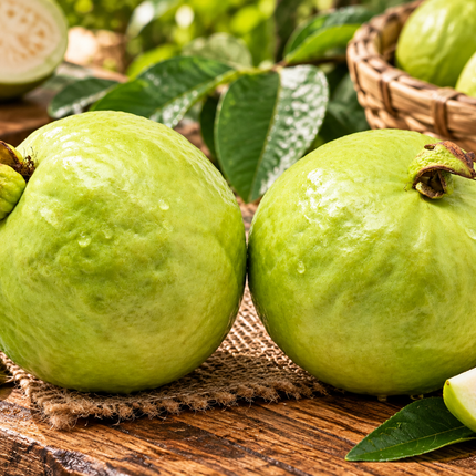Frische Thai Guave Thai Guava / Amrud