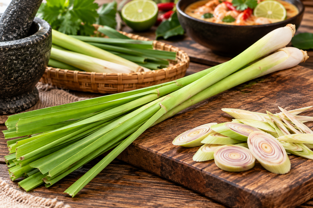 Frisches Zitronengras (Lemongrass)