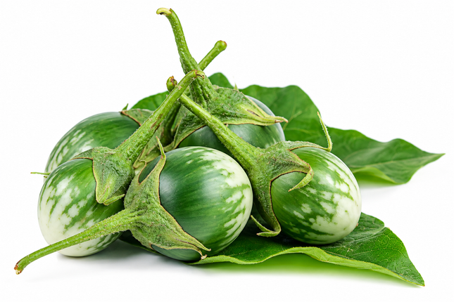 Thai Eggplants (Thai Auberginen / Thai Eggplant)