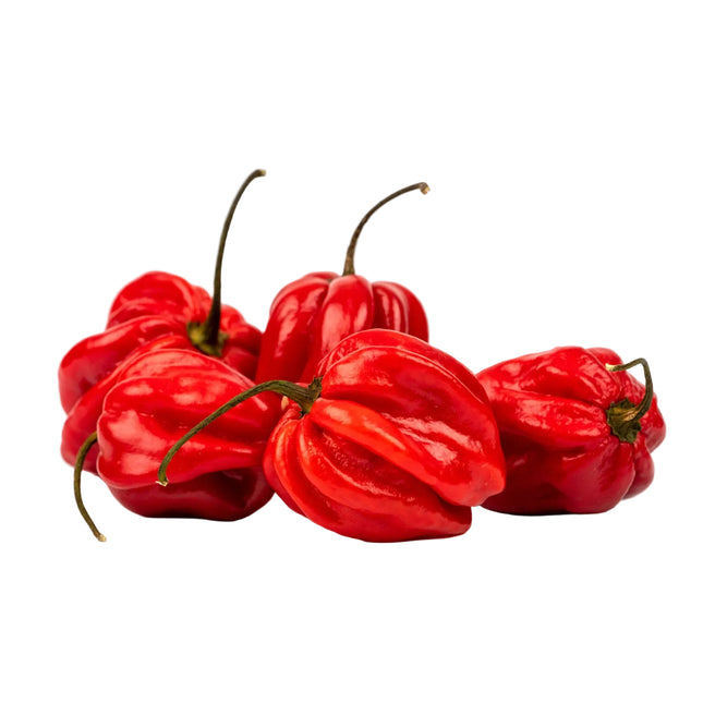 Afrikan Chili 250g