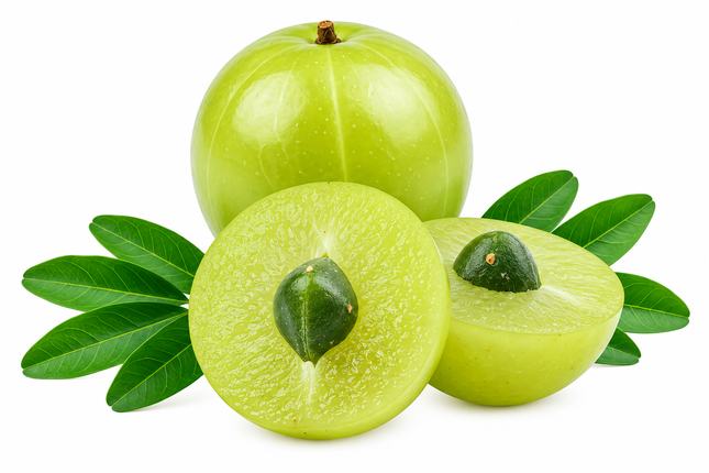 Frische Amla (Indian Gooseberry / Indische Stachelbeere) – verschiedene Größen
