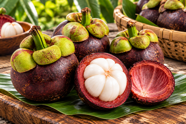 Frische Mangostan (Mangosteen / Mangostanfrucht) – verschiedene Größen